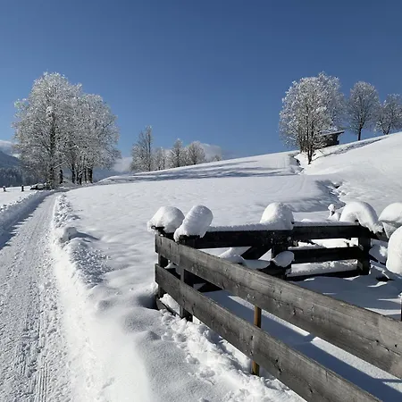 Feichtenhaeusl App 1 베스텐도르프