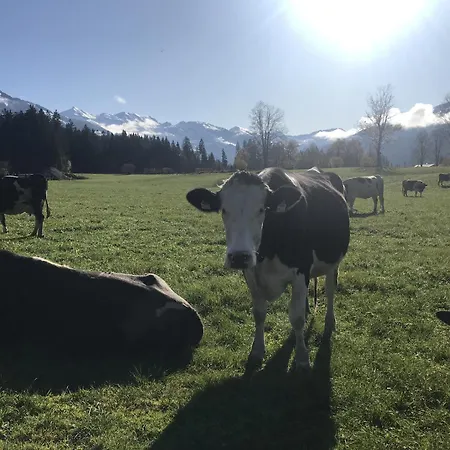 펜션 Feichtenhaeusl App 1 *